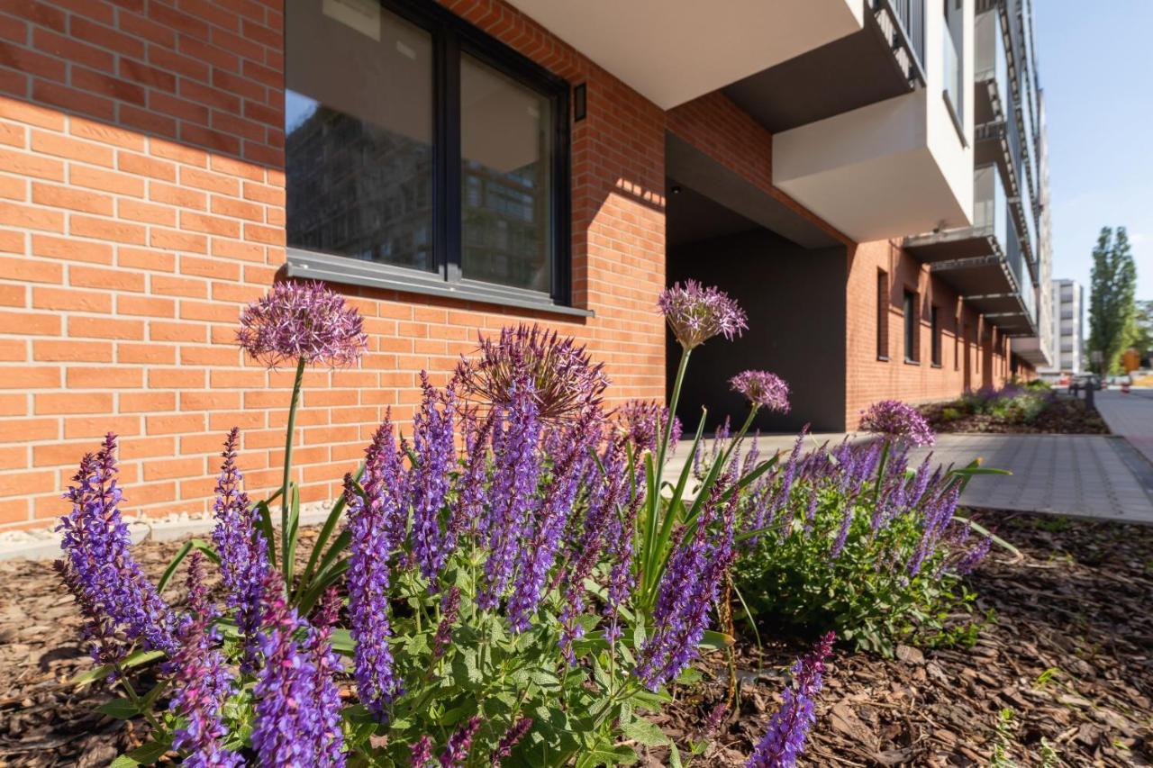 Salsa Apartments Cracow By Renters Krakow Exterior photo